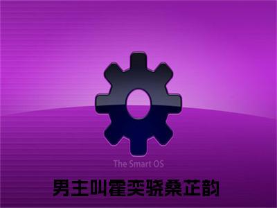 霍奕骁桑芷韵小说最后结局(霍奕骁桑芷韵)完结版免费阅读