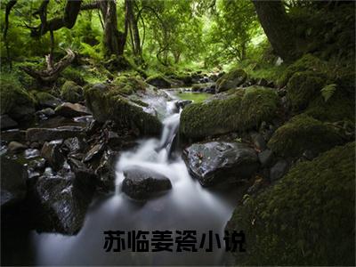 苏临姜瓷全网首发完整小说主角苏临姜瓷在线阅读
