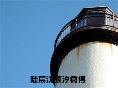 陆宸沈颜汐（陆宸沈颜汐）全文免费阅读无弹窗大结局_（陆宸沈颜汐）最新章节列表笔趣阁