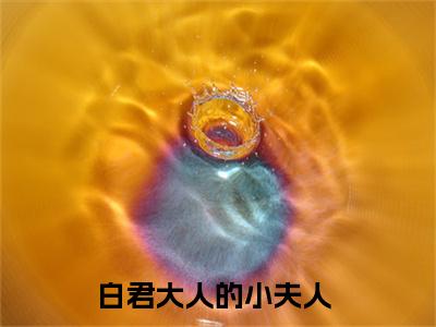 热门小说白重苏婉全文免费阅读无弹窗大结局-白君大人的小夫人全文无弹窗免费阅读大结局