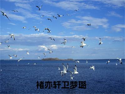 褚亦轩卫梦璐（褚亦轩卫梦璐）全文免费阅读无弹窗大结局_褚亦轩卫梦璐完整章节阅读