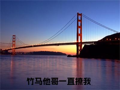 竹马他哥一直撩我小说-兰月魏清风最新章节全文阅读