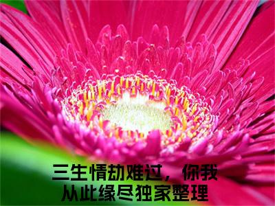 《洛卿卿云卿尘完整小说》三生情劫难过，你我从此缘尽完结版全章节阅读