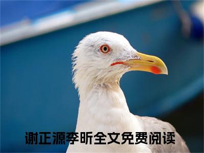 谢正源李昕全文免费阅读_（谢正源李昕免费阅读无弹窗）谢正源李昕最新章节列表