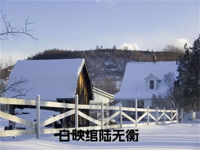 白映绾陆无衡小说全文免费阅读无弹窗-（白映绾陆无衡阅读无弹窗）穿越小说免费阅读_笔趣阁