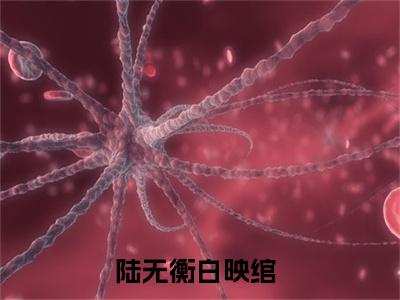 陆无衡白映绾小说(陆无衡白映绾）小说全文免费陆无衡白映绾读无弹窗大结局