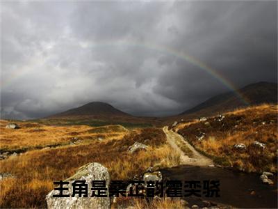 桑芷韵霍奕骁无广告小说全文免费阅读无弹窗大结局-桑芷韵霍奕骁在线阅读