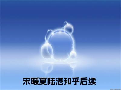 宋暖夏陆湛全本小说无弹窗阅读-宋暖夏陆湛（宋暖夏陆湛）精彩热门小说