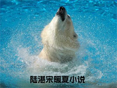 陆湛宋暖夏(陆湛宋暖夏)全文免费阅读无弹窗大结局_陆湛宋暖夏小说（陆湛宋暖夏）最新章节列表笔趣阁（陆湛宋暖夏）