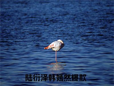 陆衍泽韩嫣然（陆衍泽韩嫣然小说）全文免费阅读无弹窗大结局_(陆衍泽韩嫣然小说免费阅读全文大结局)最新章节列表_笔趣阁（陆衍泽韩嫣然）