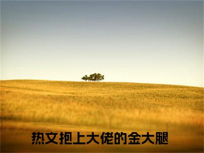 苏小汐厉夜霆小说全文（抱上大佬的金大腿）完整版阅读-苏小汐厉夜霆小说全文无删减版