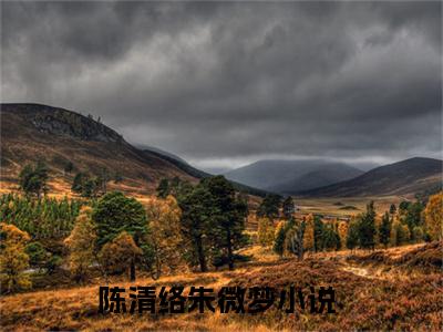 陈清络朱微梦全文（陈清络朱微梦小说）全文免费阅读无弹窗大结局_陈清络朱微梦免费最新章节列表_笔趣阁（陈清络朱微梦小说）