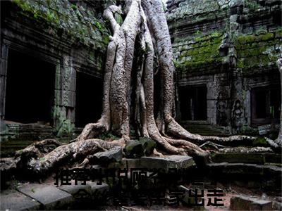 林瑜顾延年(顾爷别虐了，金丝雀要离家出走了)全文免费读无弹窗大结局_（顾爷别虐了，金丝雀要离家出走了免费小说）林瑜顾延年无弹窗最新章节列表_笔趣阁（顾爷别虐了，金丝雀要离家出走了）