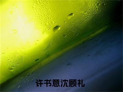 抖音热推许书意沈顾礼（许书意沈顾礼）免费小说-许书意沈顾礼小说完整版阅读