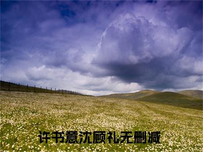 许书意沈顾礼全文小说（许书意沈顾礼）全文阅读-许书意沈顾礼在线小说免费阅读