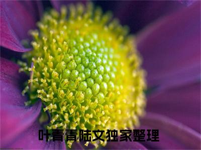 叶青青陆文全文免费阅读大结局 重生八零：穿成男主的凶残大嫂最新章节列表