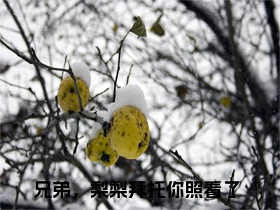 兄弟，梨梨拜托你照看了小说（颜梨安谨）全文免费兄弟，梨梨拜托你照看了阅读无弹窗大结局-（颜梨安谨）笔趣阁