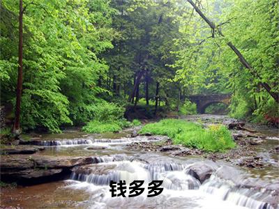 （财神来敲我家门小说免费阅读）钱多多全文免费阅读无弹窗大结局-财神来敲我家门全文免费版阅读