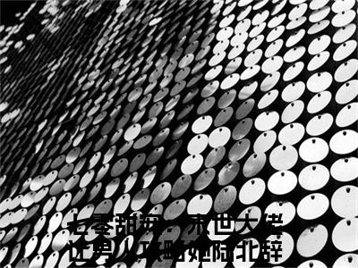 七零甜宠：末世大佬让男人攻略她（陆北辞苏玖玖）全文免费阅读无弹窗大结局_（陆北辞苏玖玖全文在线阅读）七零甜宠：末世大佬让男人攻略她最新章节列表_笔趣阁（陆北辞苏玖玖）