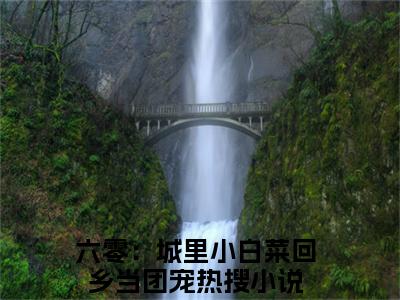 六零：城里小白菜回乡当团宠小说大结局精彩推荐，黄瑾邬颜如玉全文完整版在线阅读