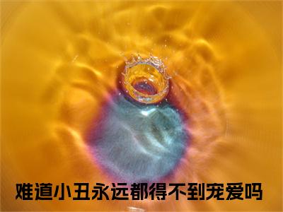 难道小丑永远都得不到宠爱吗小说最新章节（厉洛辰宋佳瑜）全文免费阅读无弹窗大结局_厉洛辰宋佳瑜免费阅读（难道小丑永远都得不到宠爱吗小说）