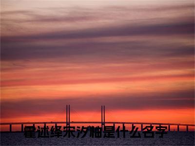 霍述绎宋汐柚全文（霍述绎宋汐柚免费小说-完整版-霍述绎宋汐柚在线赏析）最新章节已更新版