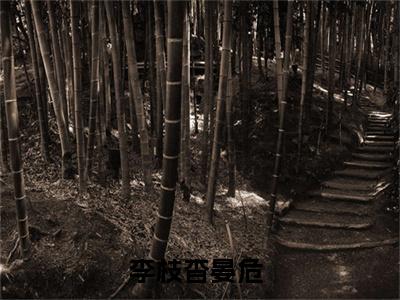 李枝杳晏危热门小说全文免费阅读无弹窗大结局-李枝杳晏危免费阅读大结局