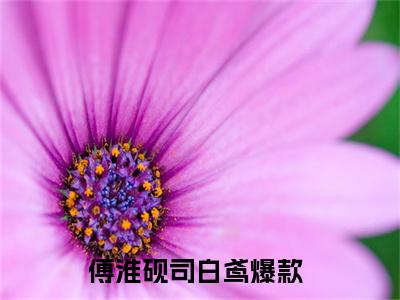 傅淮砚司白鸢（傅淮砚司白鸢）全文免费阅读无弹窗大结局_(傅淮砚司白鸢免费阅读)傅淮砚司白鸢无弹窗最新章节列表_笔趣阁（傅淮砚司白鸢）