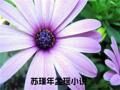 苏瑾年孟瑶（苏瑾年孟瑶小说)全文免费阅读无弹窗大结局_苏瑾年孟瑶全文免费阅读_笔趣阁