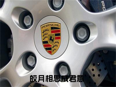 皎月相思成君意小说免费阅读（沉舟云烟）全文免费阅读大结局-（皎月相思成君意小说免费阅读）好书推荐