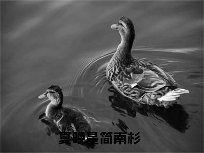 夏晚星简南杉小说（夏晚星简南杉全文完整版免费阅读）_夏晚星简南杉小说免费最新章节列表