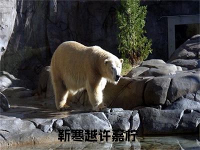 靳寒越许嘉柠在哪看无弹窗全文
