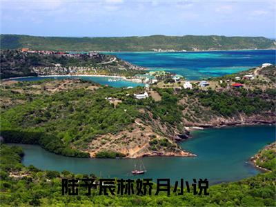 陆予辰林娇月（陆予辰林娇月）全文免费阅读无弹窗大结局_(陆予辰林娇月)最新章节列表_笔趣阁