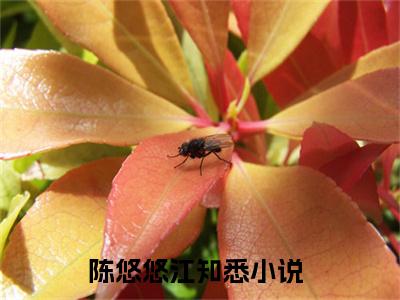 陈悠悠江知悉（陈悠悠江知悉）全文免费阅读无弹窗大结局_（陈悠悠江知悉）陈悠悠江知悉全文最新章节列表_笔趣阁（陈悠悠江知悉）