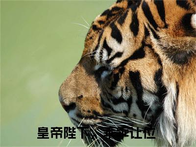 皇帝陛下，乖乖让位(言絮晚旬)全文免费阅读无弹窗大结局_ 皇帝陛下，乖乖让位免费阅读最新章节列表_笔趣阁