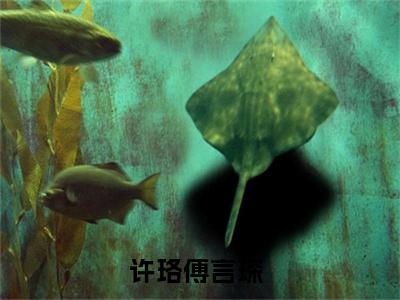 （兜兜转转遇见你）许珞傅言琛全文免费阅读无弹窗大结局_许珞傅言琛最新章节列表笔趣阁（兜兜转转遇见你）