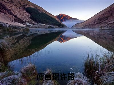 傅言琛许珞热门小说在线阅读 兜兜转转遇见你全网推荐（傅言琛许珞）全文