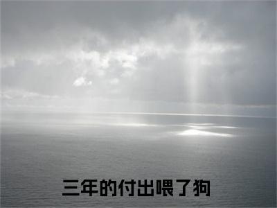 沈恋熙乔慕北（三年的付出喂了狗）全文在线阅读无弹窗大结局_（沈恋熙乔慕北）三年的付出喂了狗最新章节列表_笔趣阁（沈恋熙乔慕北）