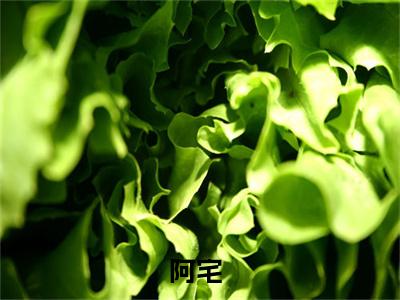 原神：我转生成了艾琳（阿宅）全文免费阅读无弹窗大结局_阿宅小说免费最新章节列表_笔趣阁