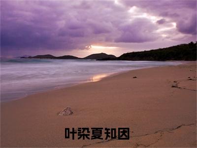 叶染夏知因全文免费阅读无弹窗-（叶染夏知因）攻略白月光大佬小说全文在线阅读笔趣阁