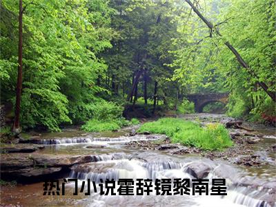 霍辞镜黎南星(霍辞镜黎南星)全文免费阅读无弹窗大结局_(霍辞镜黎南星在线阅读)霍辞镜黎南星最新章节列表笔趣阁（霍辞镜黎南星）