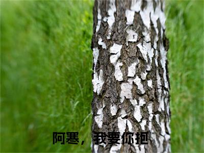 祁夜寒司凝在线阅读（阿寒，我要你抱）全文免费阅读无弹窗大结局_阿寒，我要你抱最新章节列表笔趣阁（祁夜寒司凝）