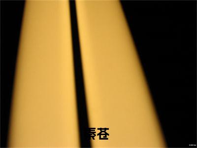 全民音乐人(秦苍)小说免费阅读无弹窗_(全民音乐人)秦苍最新章节列表笔趣阁（全民音乐人）