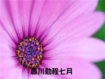 慕川勋程七月（慕川勋程七月）全文免费阅读无弹窗大结局_ (慕川勋程七月小说全文免费阅读)最新章节列表_笔趣阁