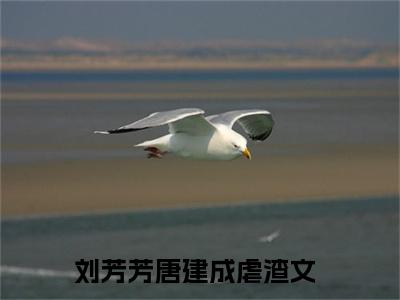 重生八零：被九个女儿团宠了（刘芳芳唐建成）免费最新小说_刘芳芳唐建成（重生八零：被九个女儿团宠了）免费版今日已更新