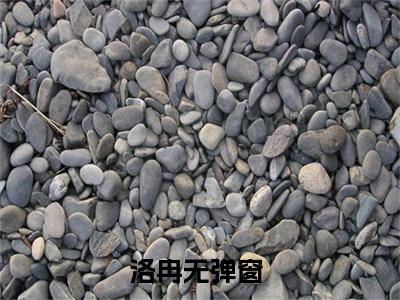 蓝星最强女学霸（洛冉）最新章节在线阅读 抖音新书热荐洛冉
