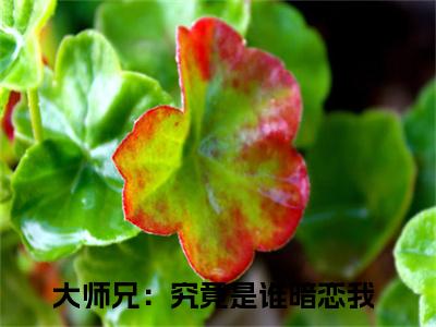 大师兄：究竟是谁暗恋我（朝雾帝昭）全文免费阅读无弹窗大结局_朝雾帝昭最新章节列表笔趣阁