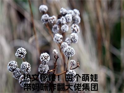 林初瓷战夜擎最新章节（惊爆！四个萌娃带妈咪炸翻大佬集团）小说推荐阅读-新书林初瓷战夜擎精彩阅读
