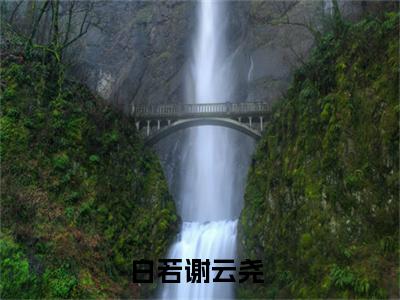 白若谢云尧小说(白若谢云尧)全文免费白若谢云尧读无弹窗大结局_(白若谢云尧小说免费阅读)