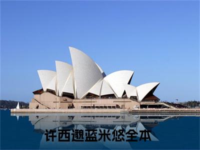 许西邈蓝米悠主角是许西邈蓝米悠全文免费阅读无弹窗-许西邈蓝米悠最新章节列表-笔趣阁